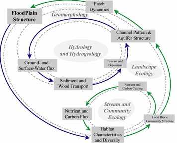 Powerpoint flowchart of floodplain energy and ecology dynamics