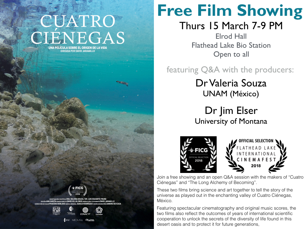 International Documentary Film Screening