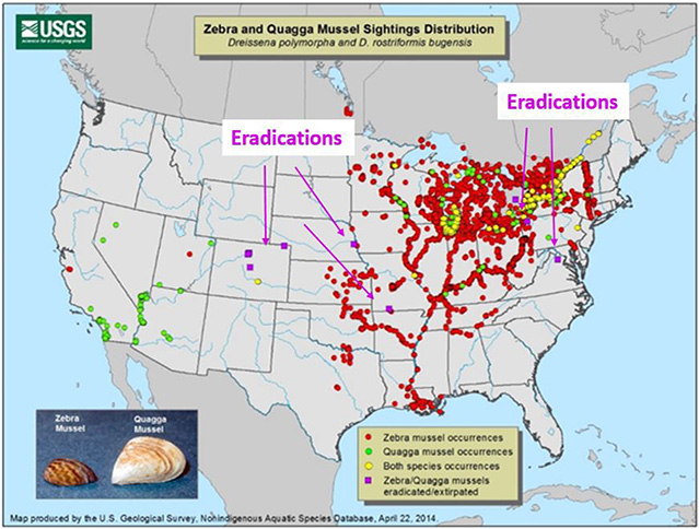 US map of z/q occurrences along with successful eradication sites