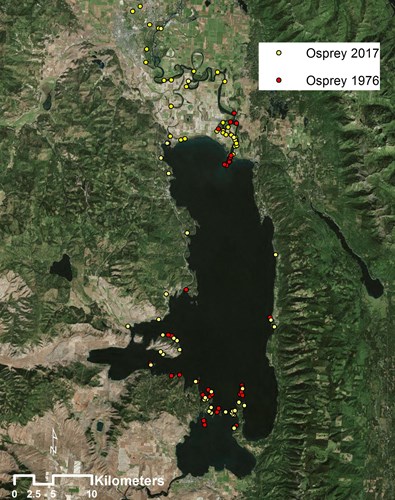 A map of the Osprey twins surveys of active osprey nests in 1976 compared to 2017