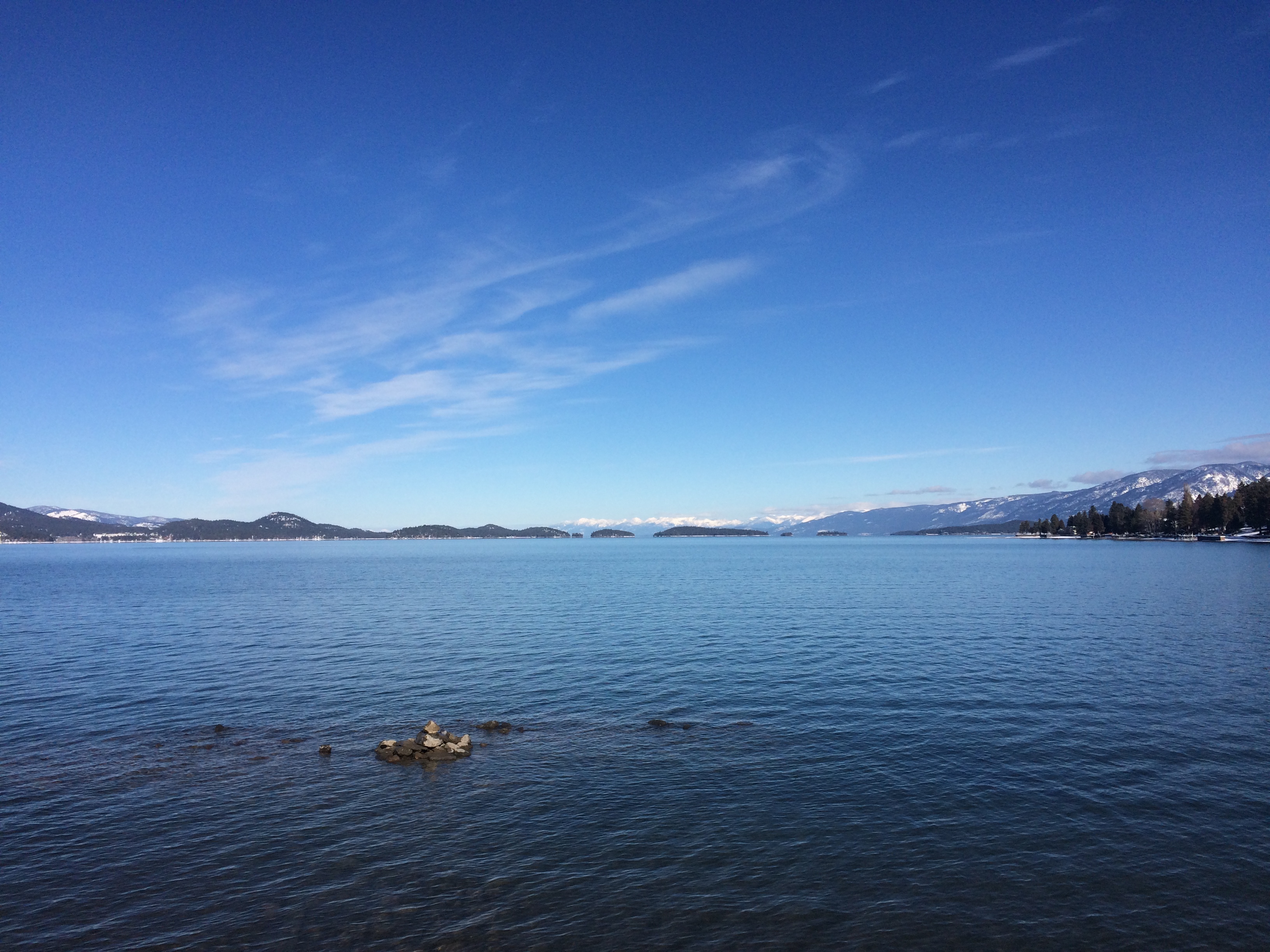 The High Price of Invasive Mussels