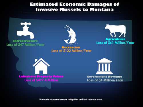 chart displaying potential industry losses to Montana if invasive mussels ever infested Montana waters