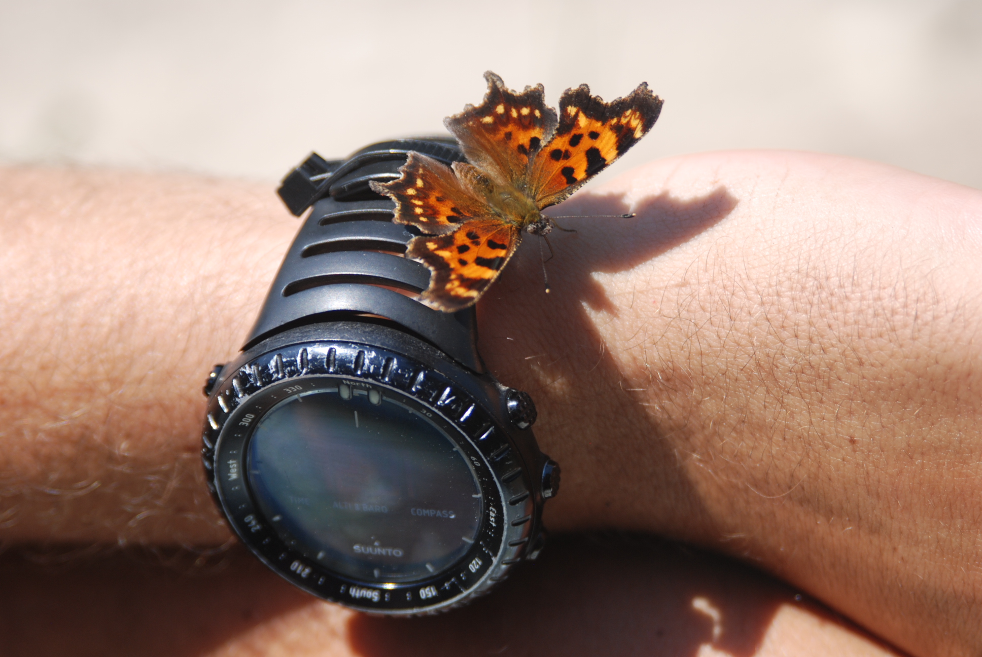 Deep Dive into FLBS: Lucky to be Here