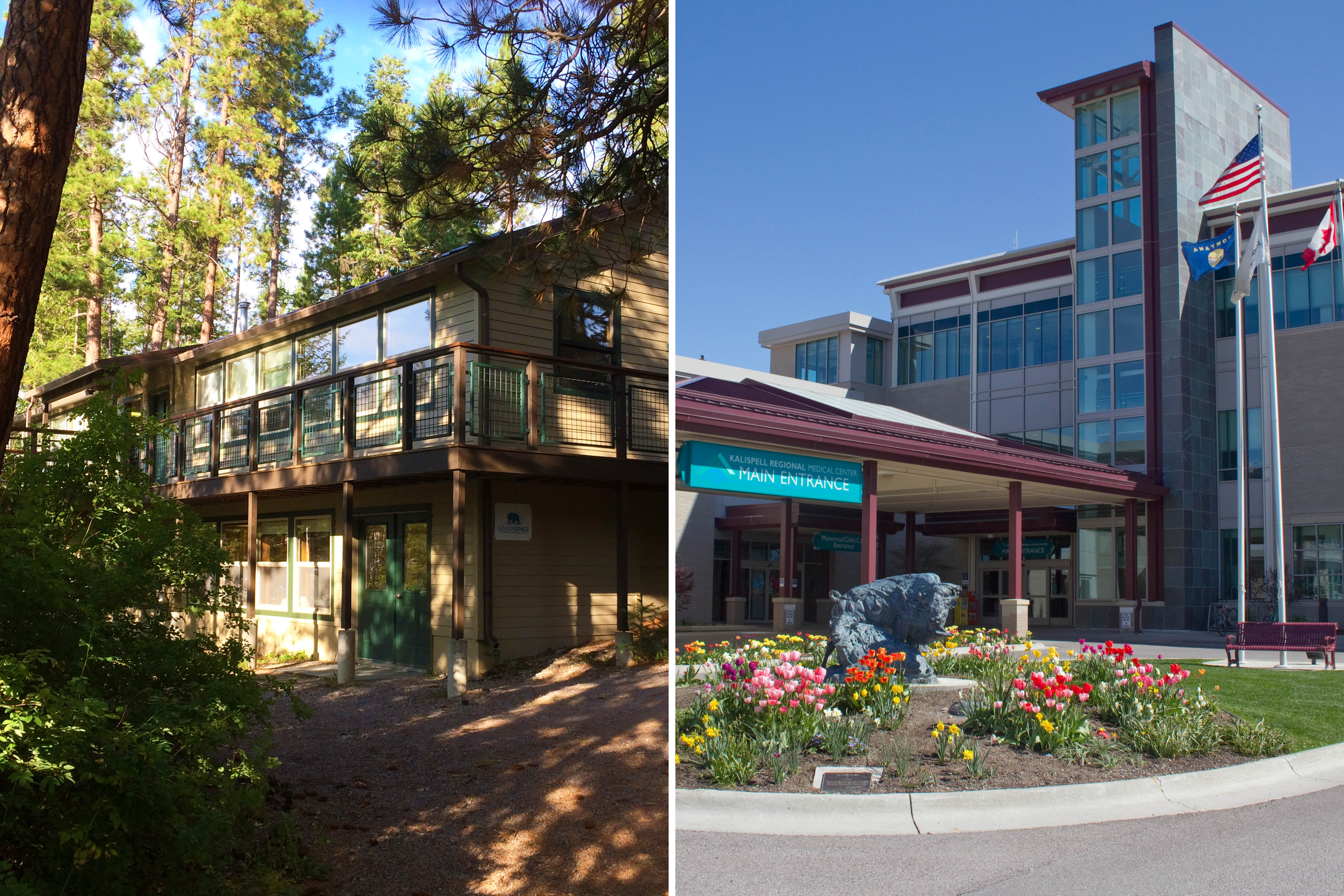 Deep Dive: Responding to COVID-19