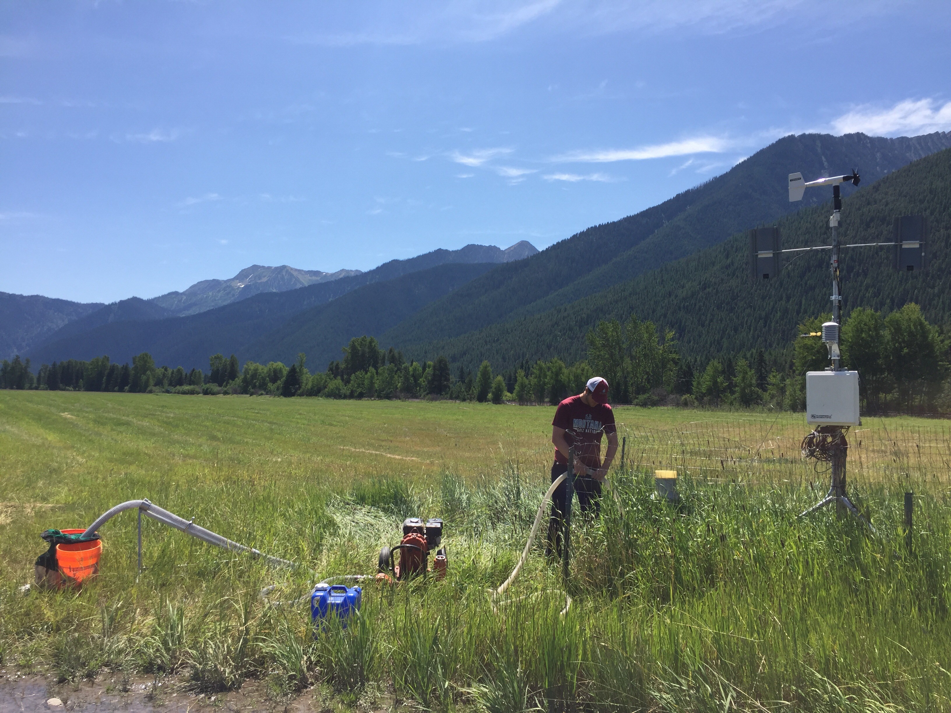 Solving a Stonefly Mystery