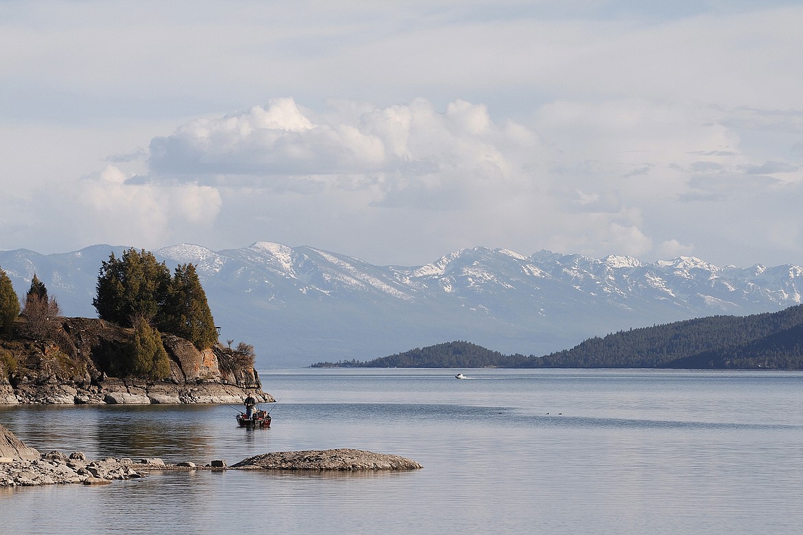 Deep Dive: Importance of a Balanced Diet