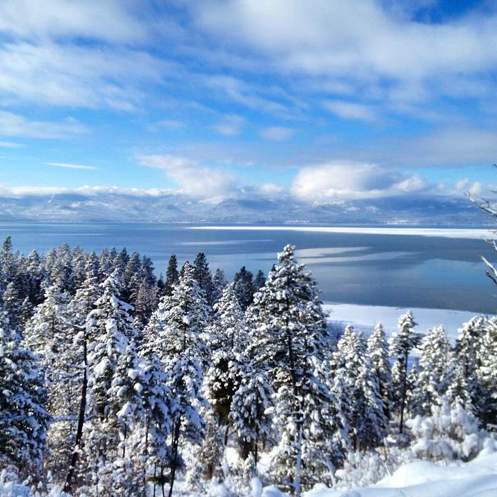 The Divisions of a Changing Climate