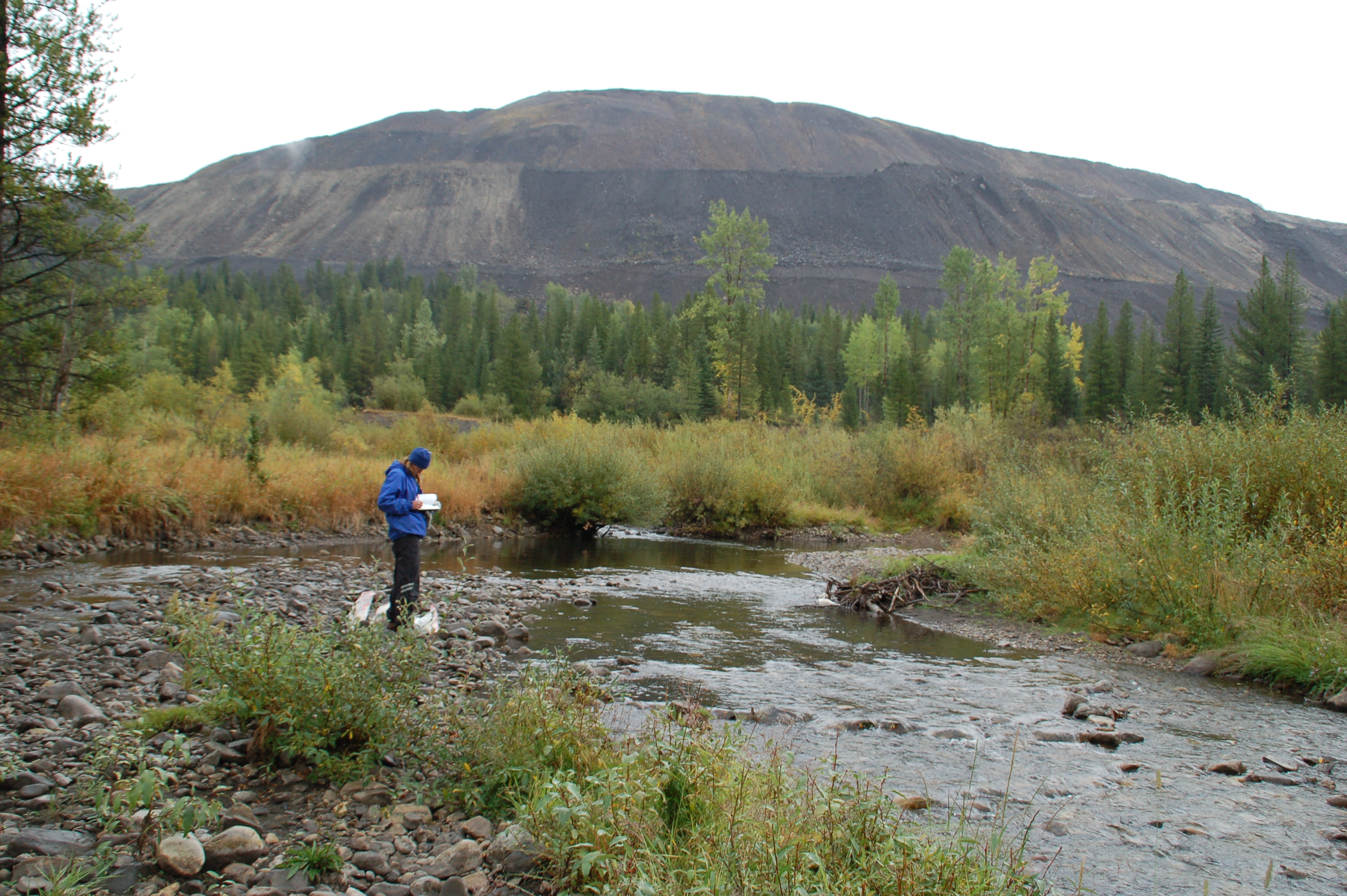 MMW Deadline Approaching