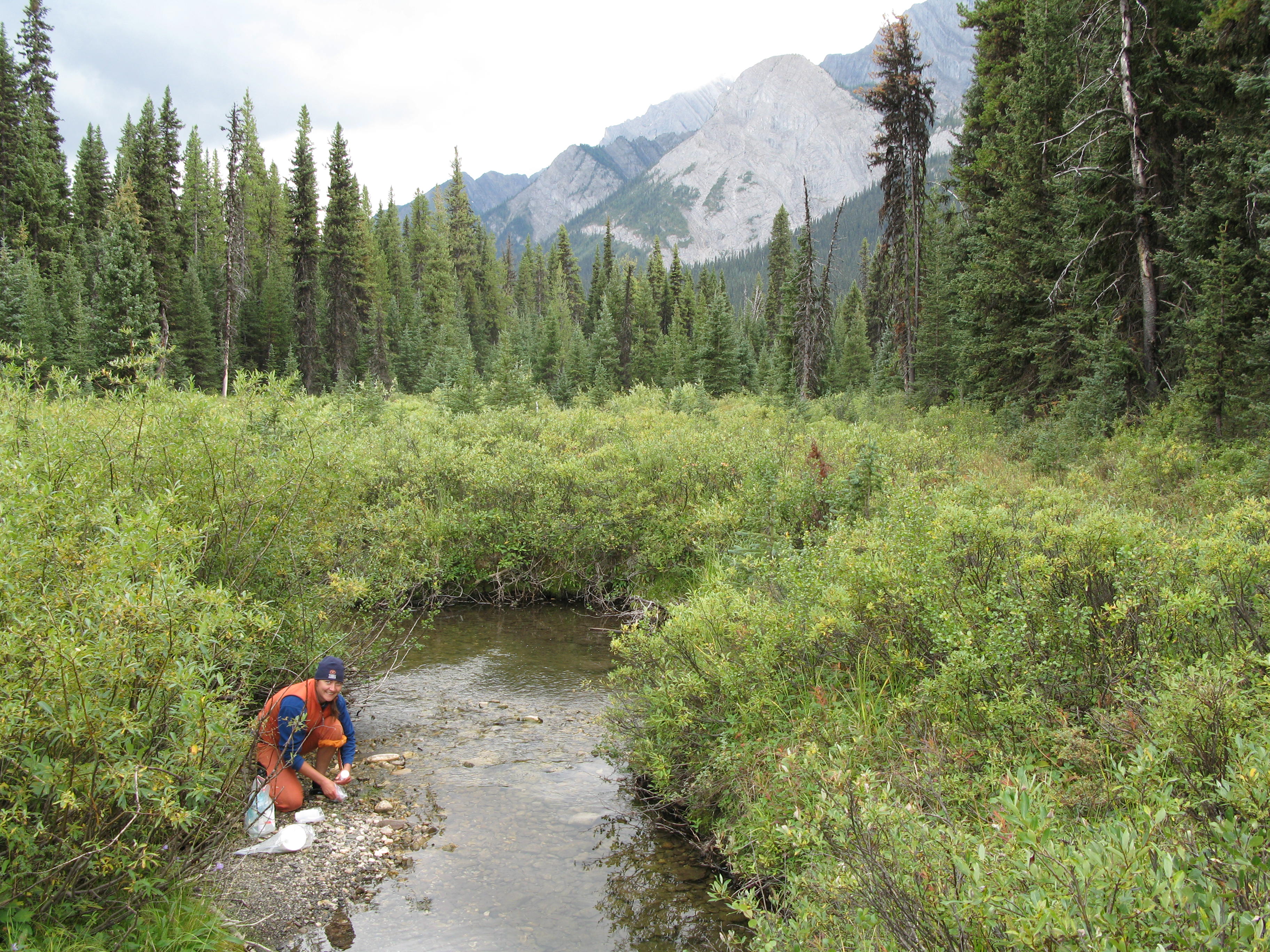 New Program Assists Watershed Groups