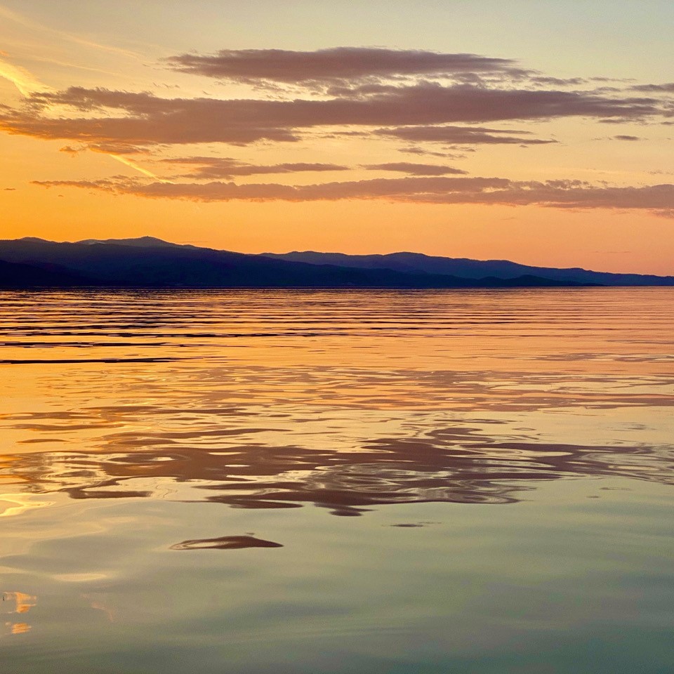 Cooking/Kitchen Assistant