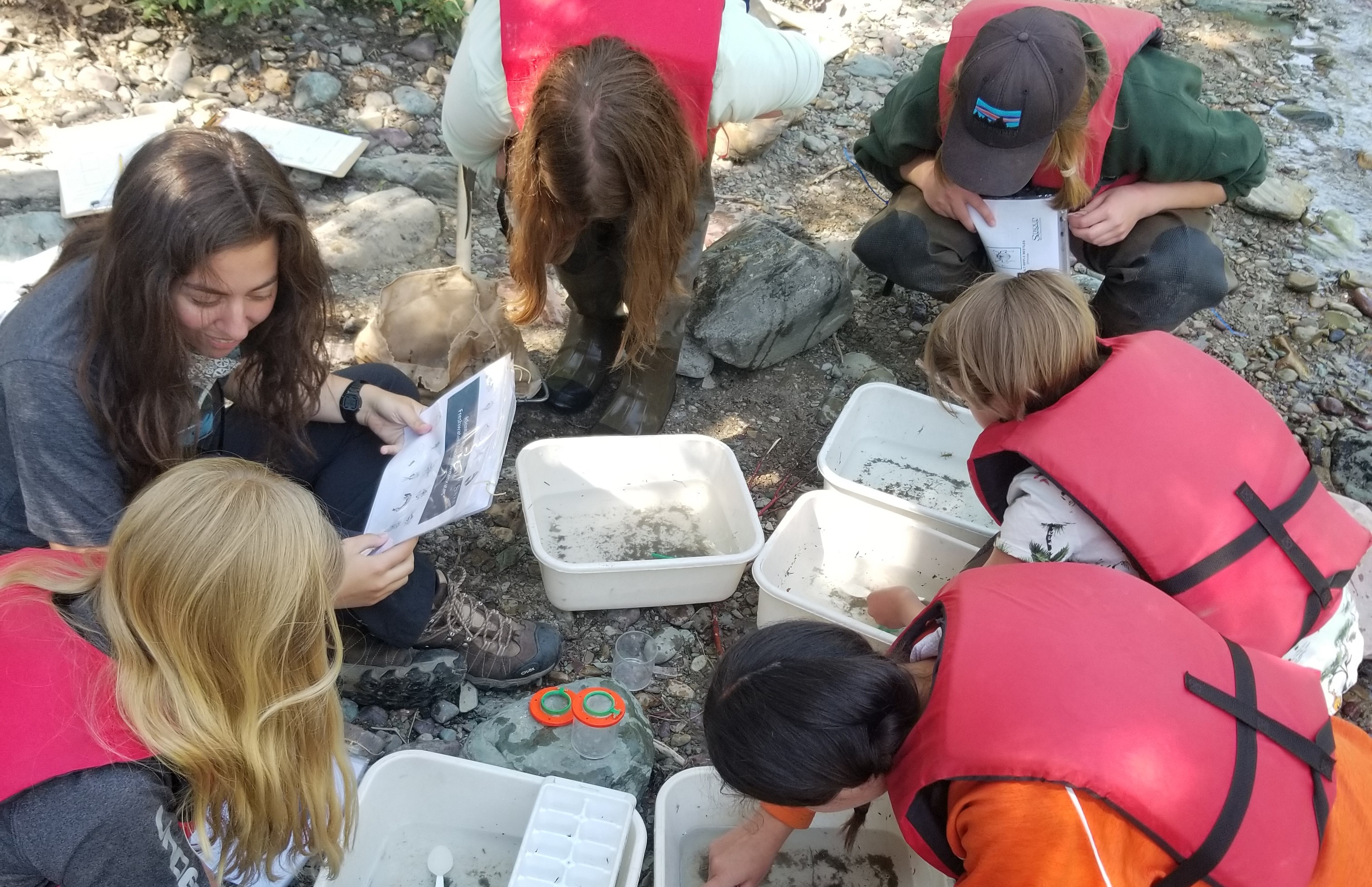 Meet our FLBS BSWC Members