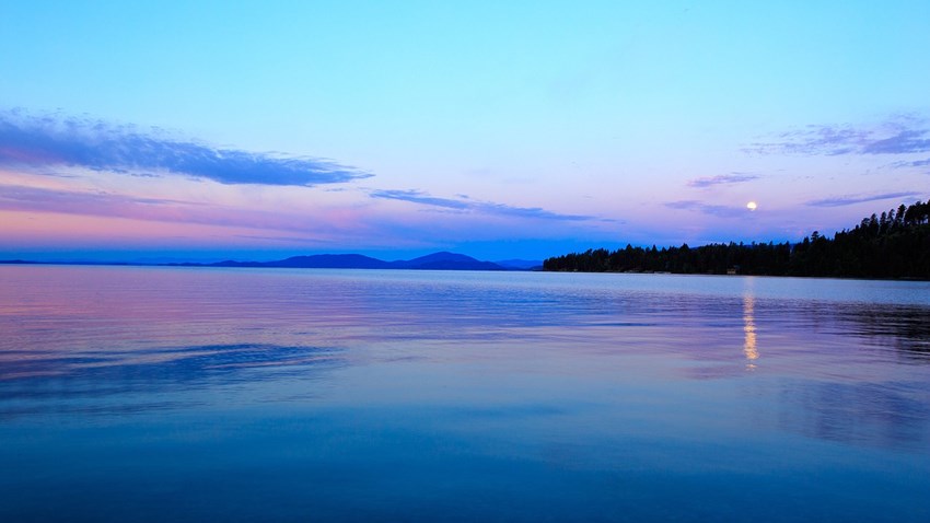 The Truth About the Flathead Lake Monster