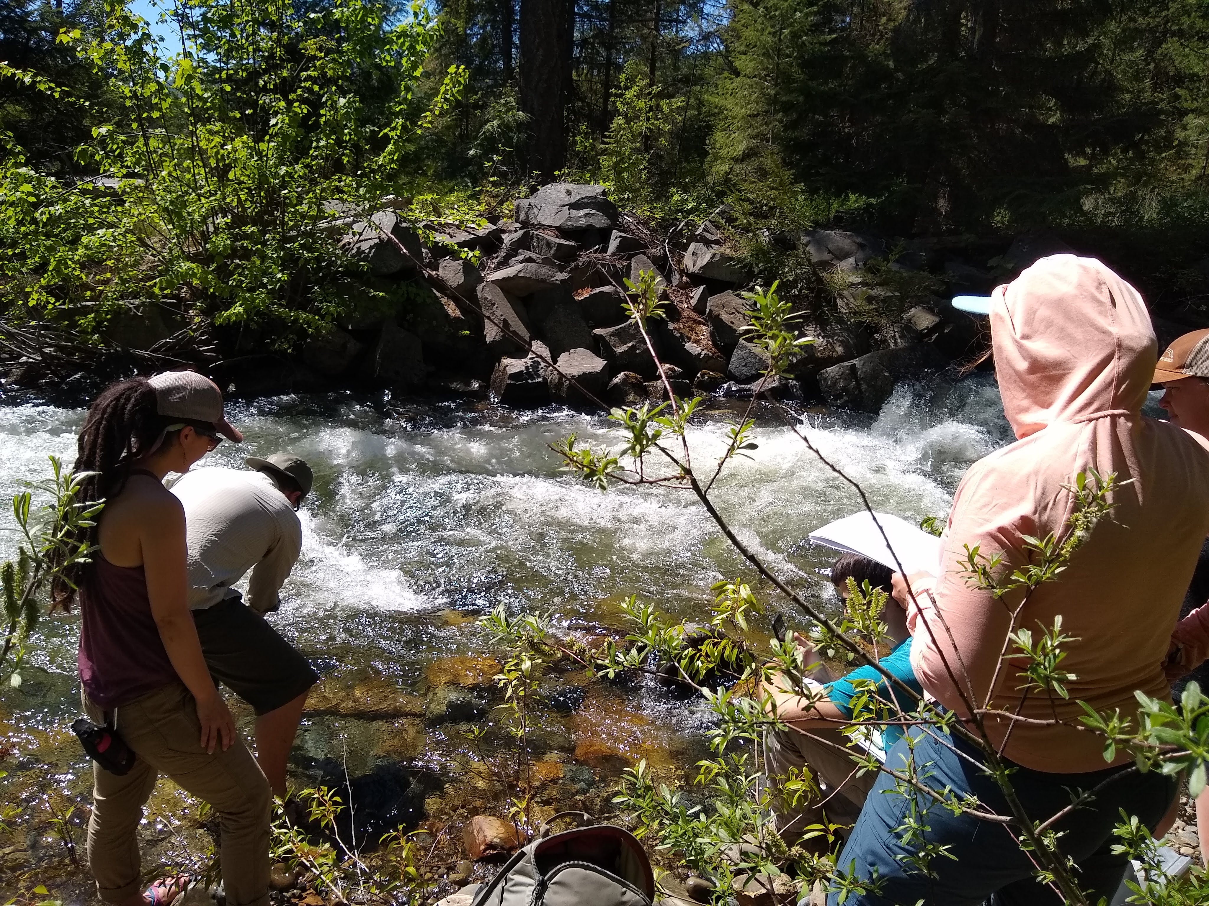 MMW Makes Big Splash in First Year