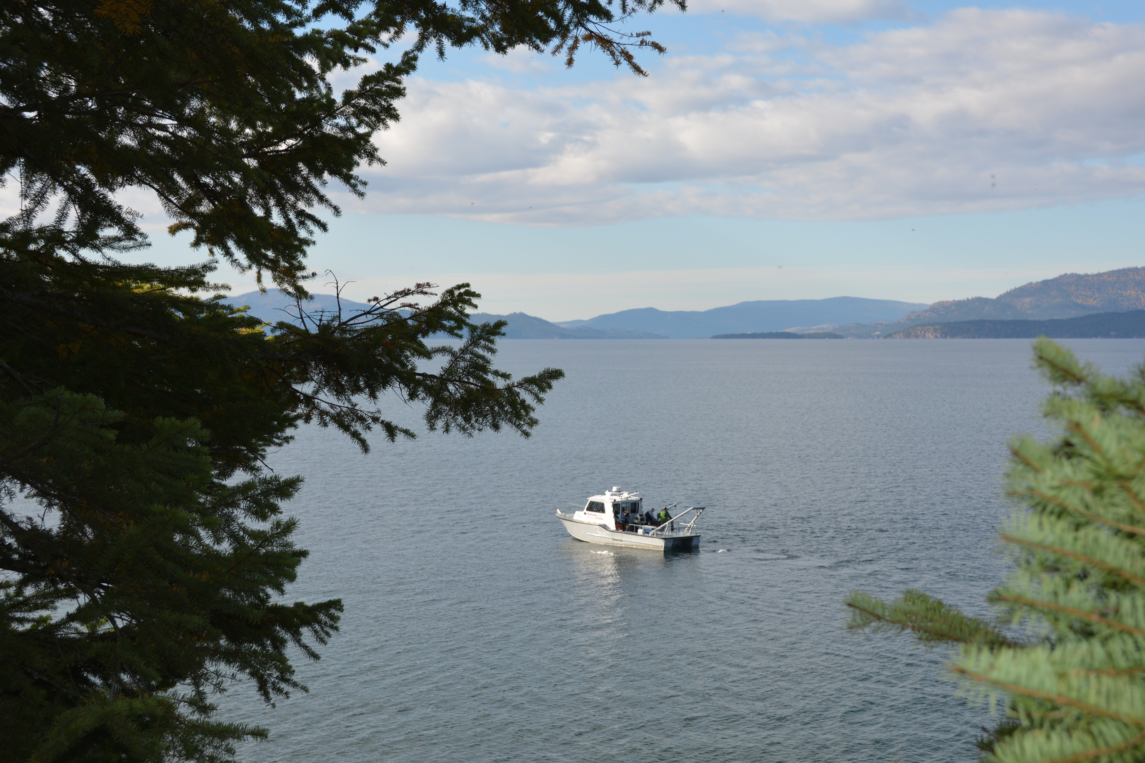 Deep Dive into FLBS: A Message of Thanks