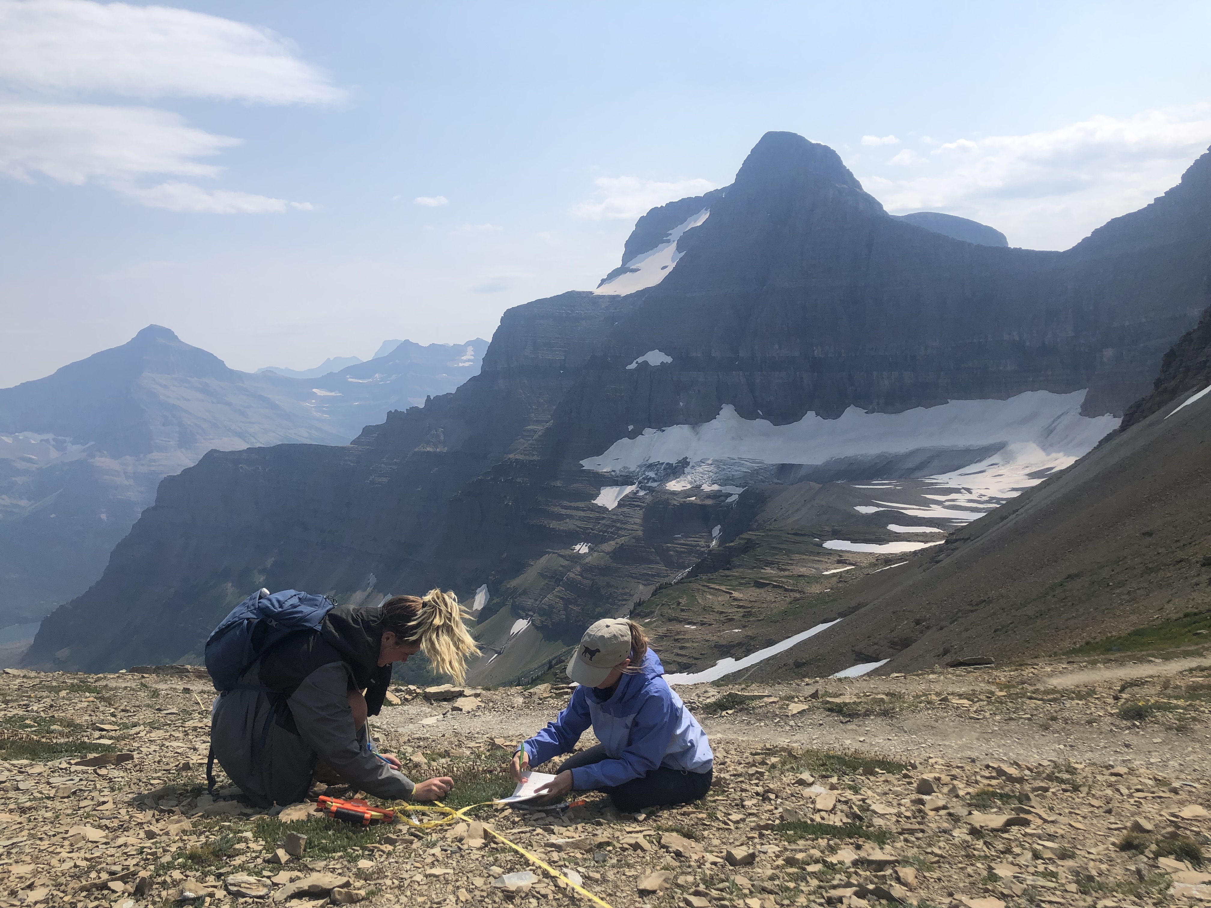 2022 Summer Session Assistant