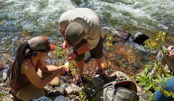 Two people keeling by creek. One person filtering water into sample container and other person is holding the sampling container. 