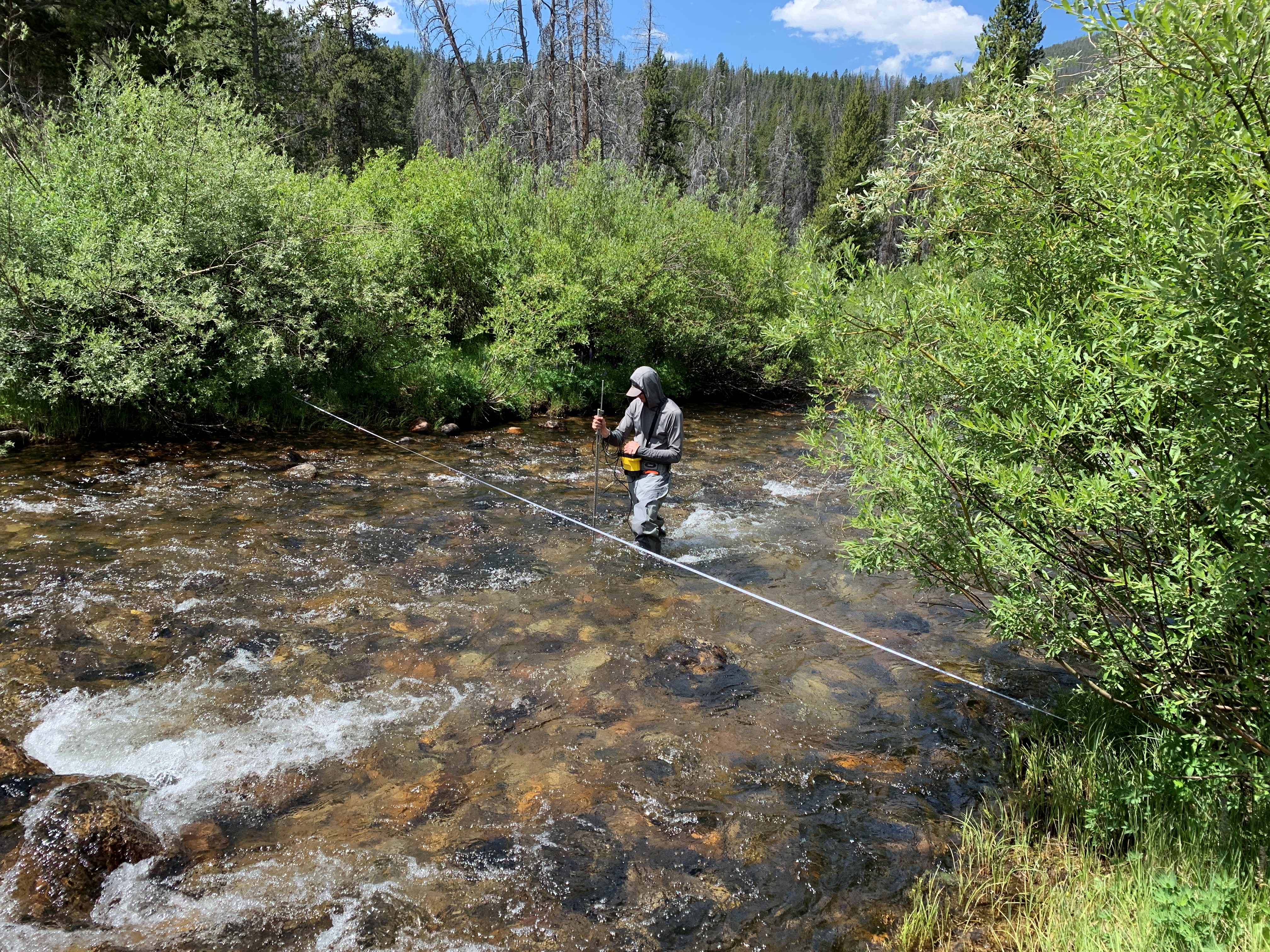 Funding Opportunity & Important Dates