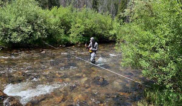 Person wading in stream with tape measure and flow meter trees and shrubbery in foreground