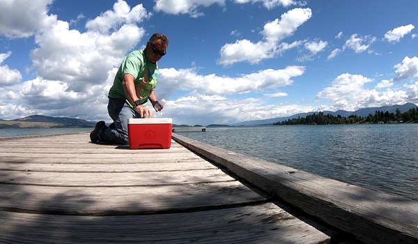 Person on dock putting samples into red cooler
