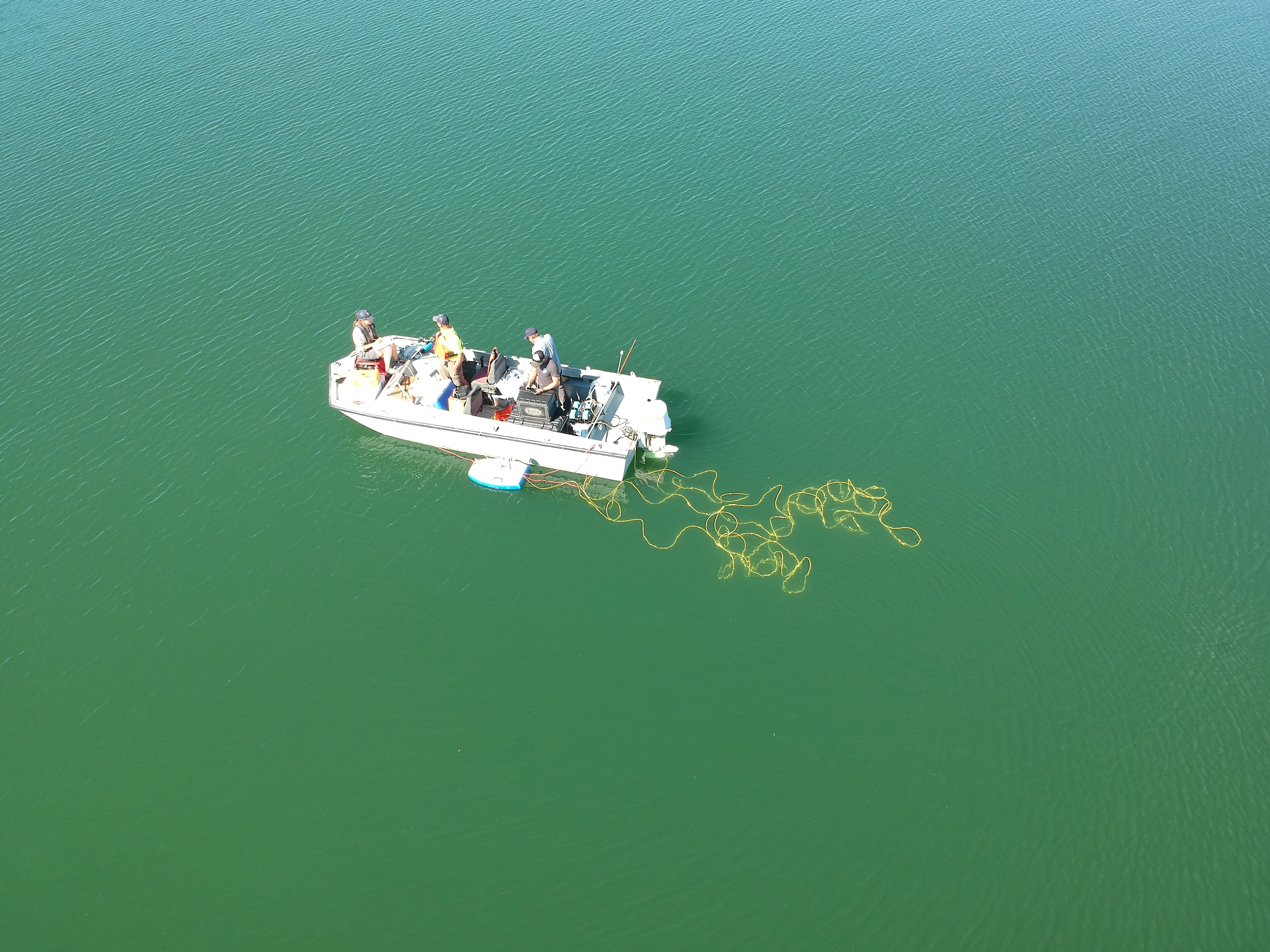 Innovation against Invasive Species