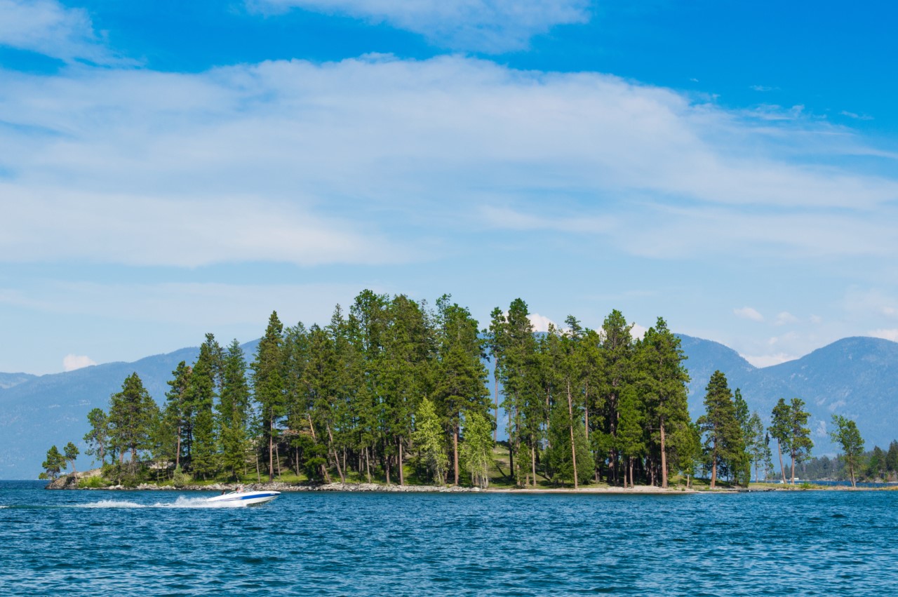 Microplastics in Flathead Lake