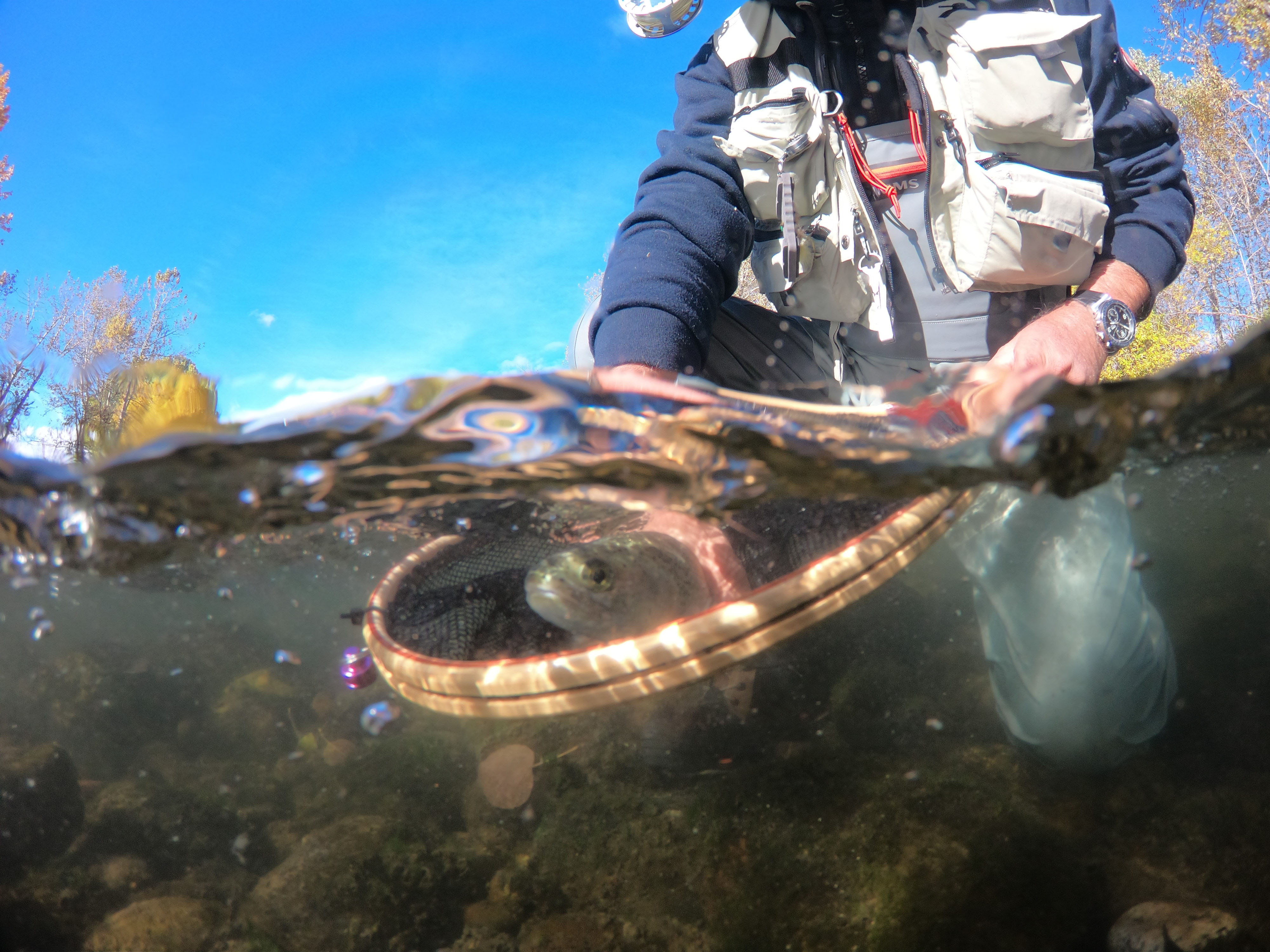 A Life Line for Trout Fishing