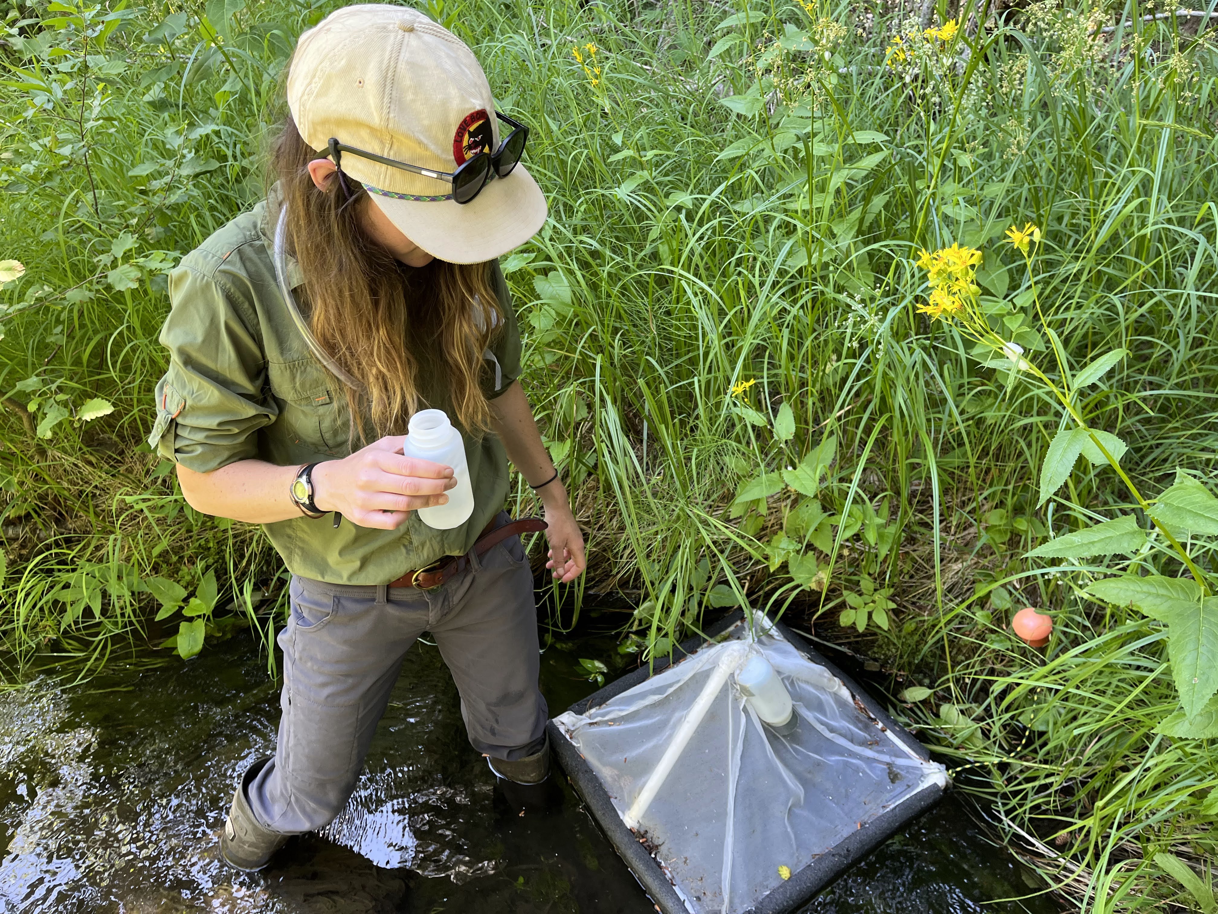 Exploring Impacts of Beaver Dam Analogs