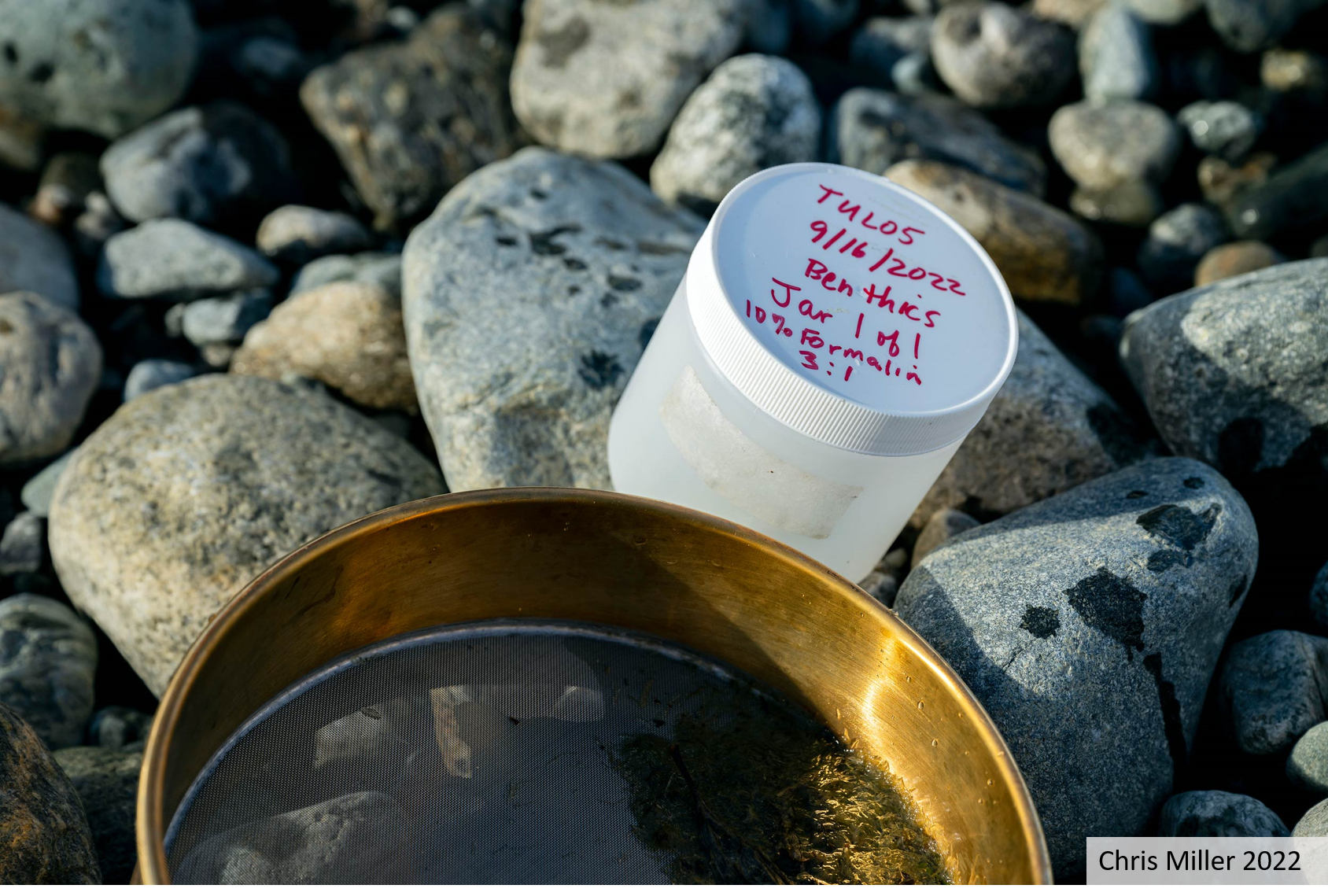 Taku River Monitoring 2022