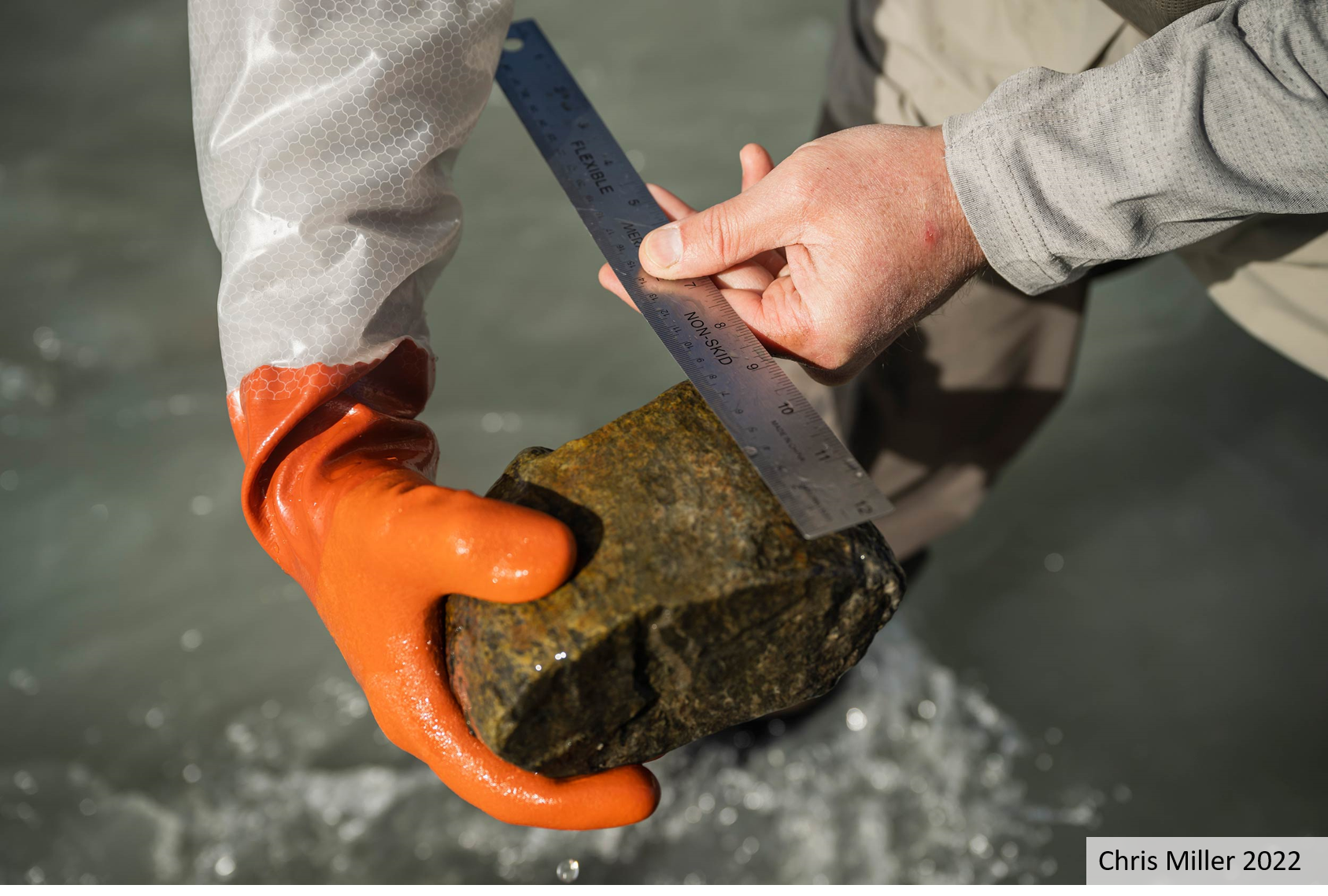 Taku River Monitoring 2022