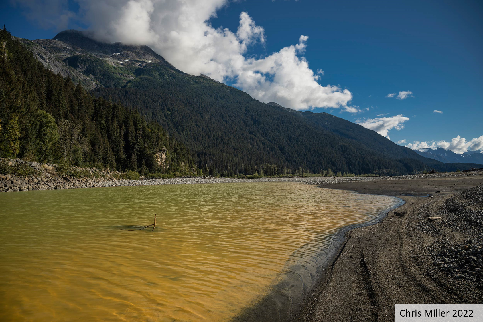 Taku Watershed: Tulsequah Chief Mine