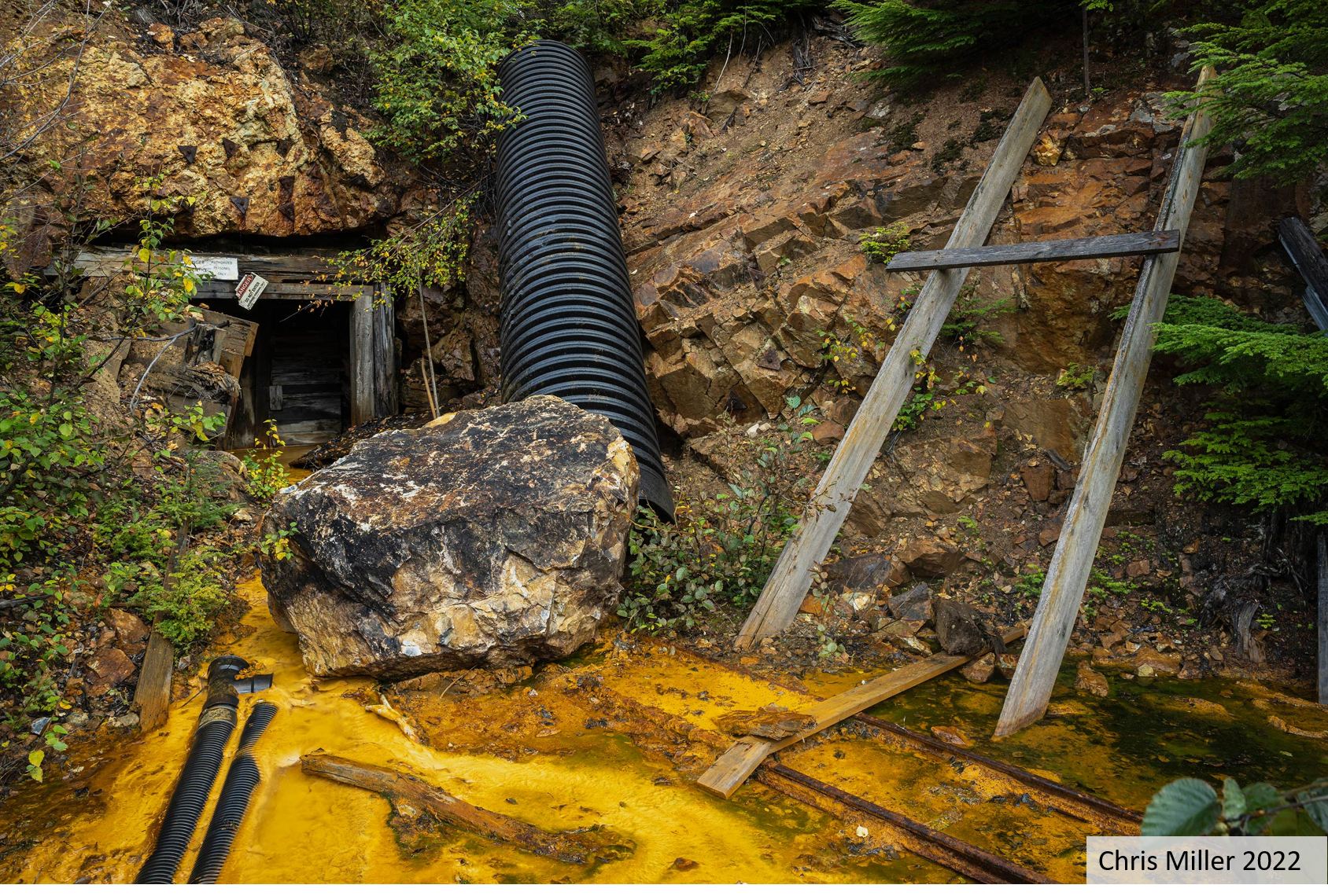 Taku Watershed: Tulsequah Chief Mine