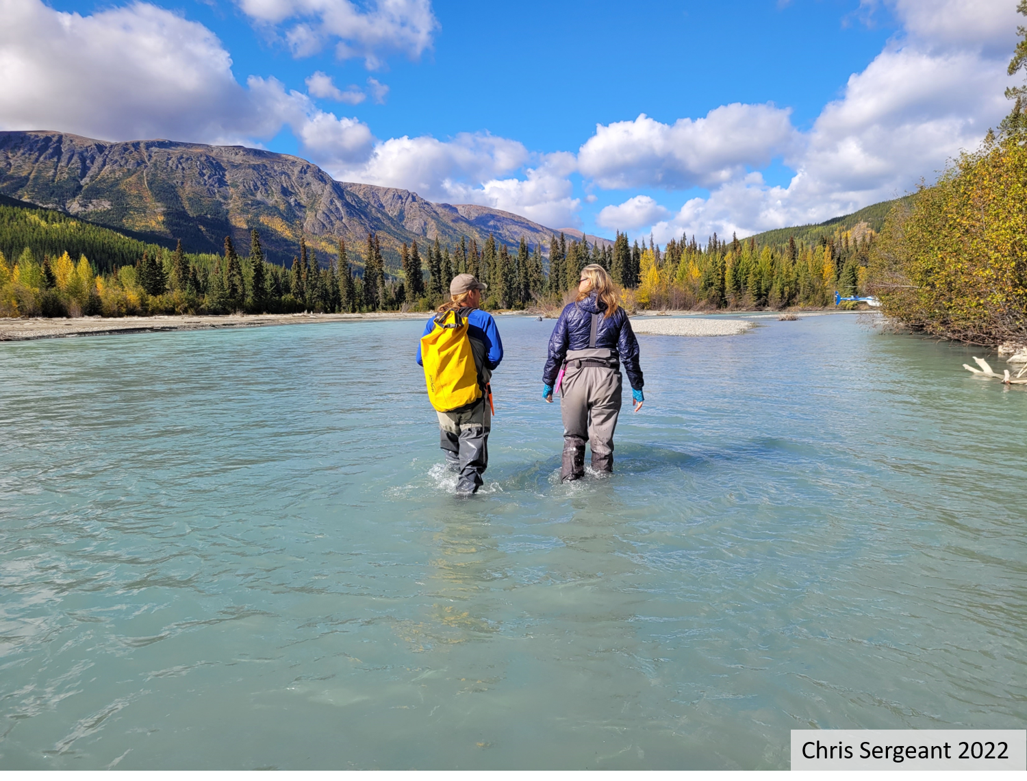 Taku River Monitoring 2022
