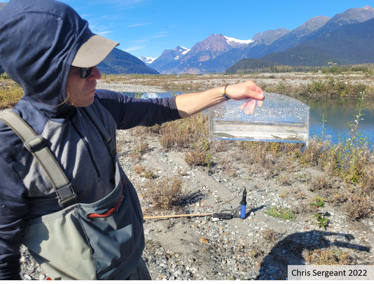 Taku River Monitoring 2022