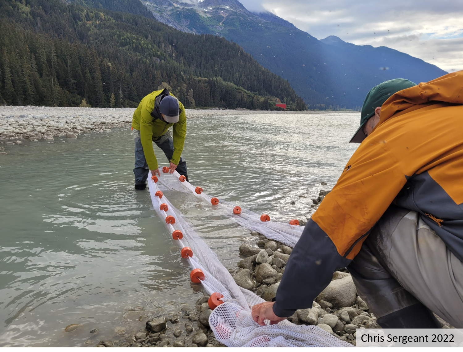 Taku River Monitoring 2022
