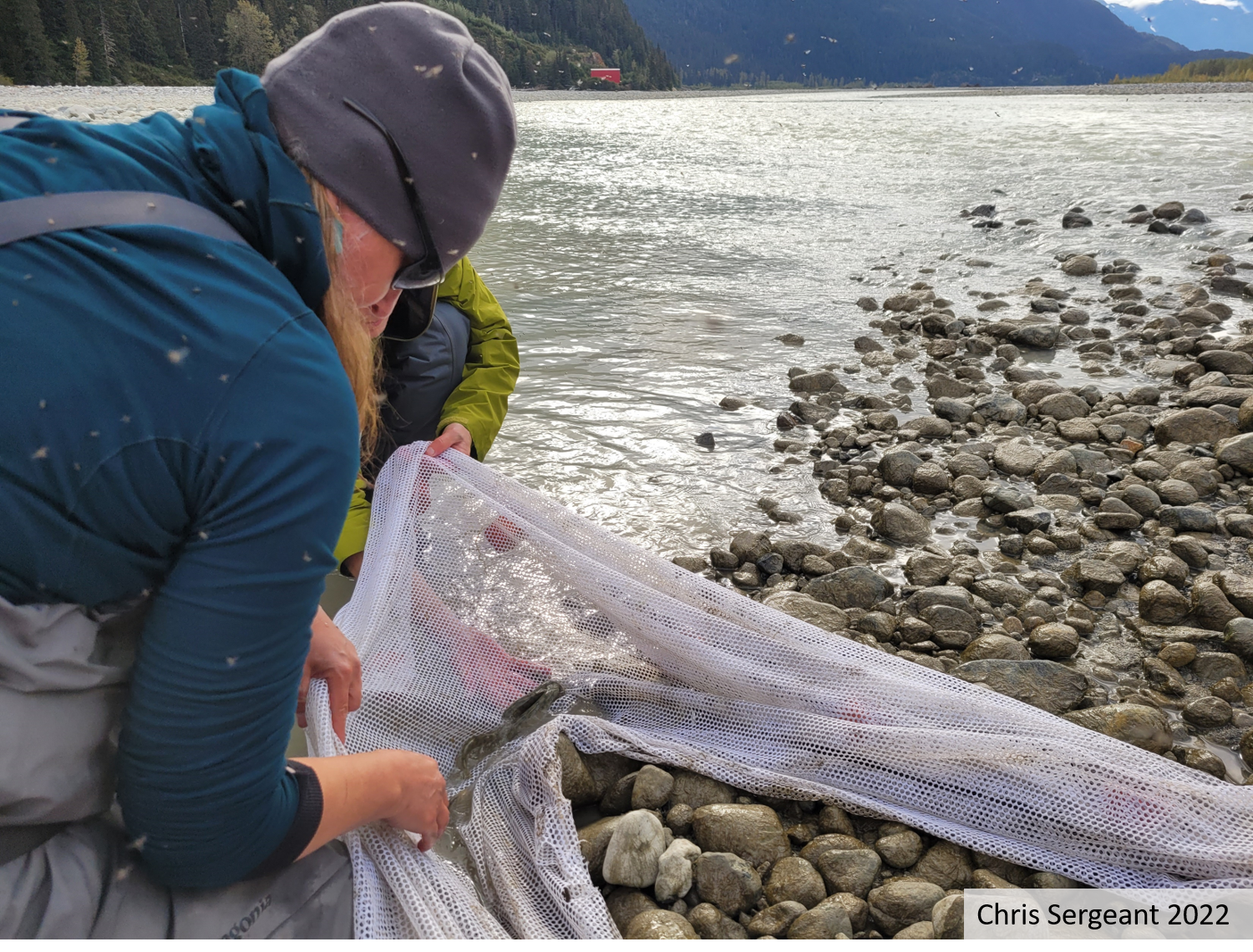 Taku River Monitoring 2022