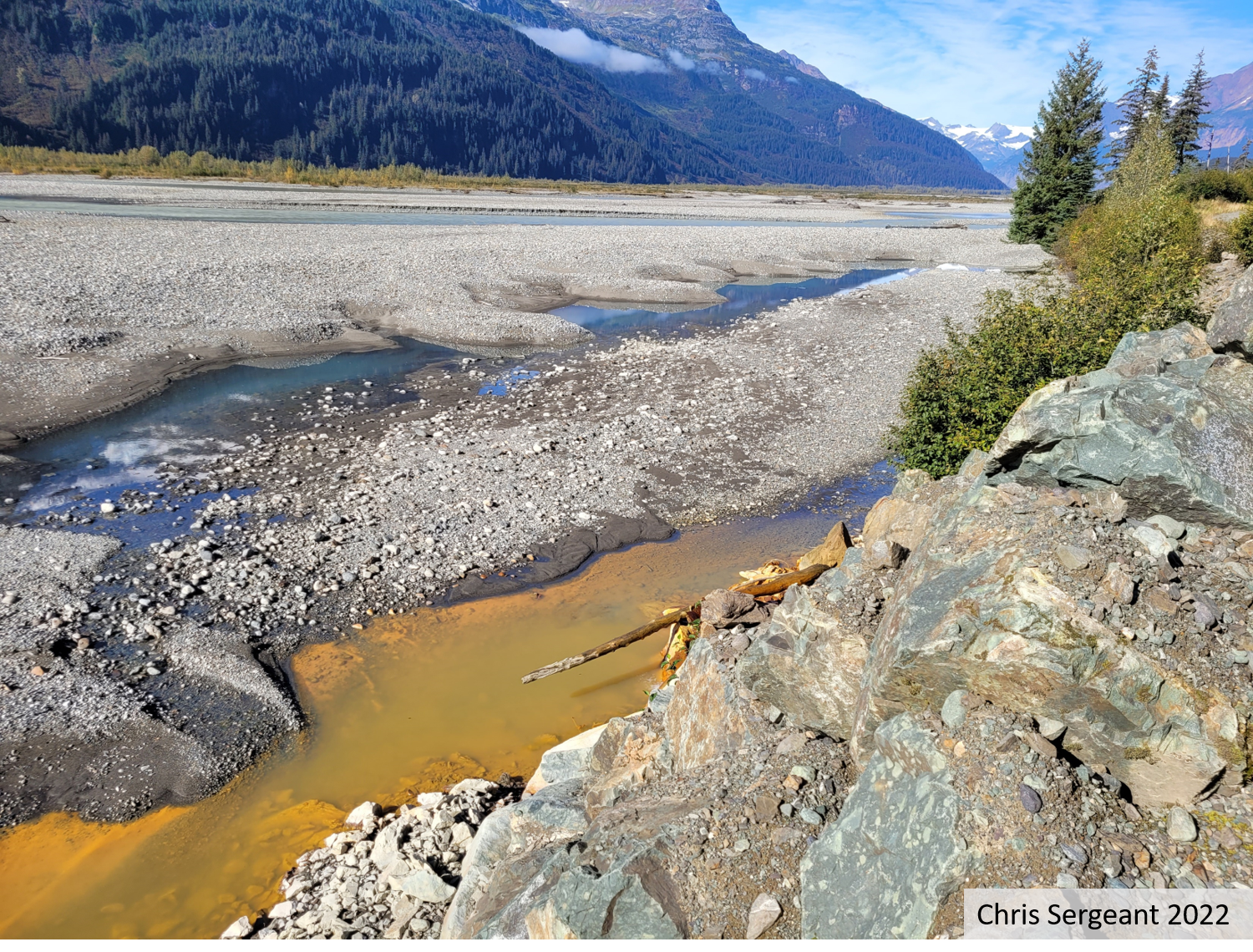 Taku Watershed: Tulsequah Chief Mine