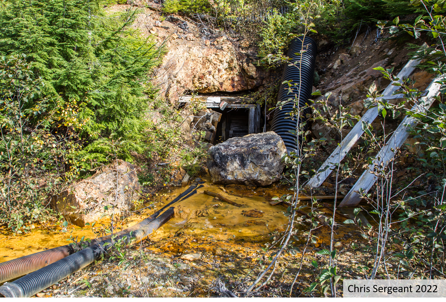 Taku Watershed: Tulsequah Chief Mine