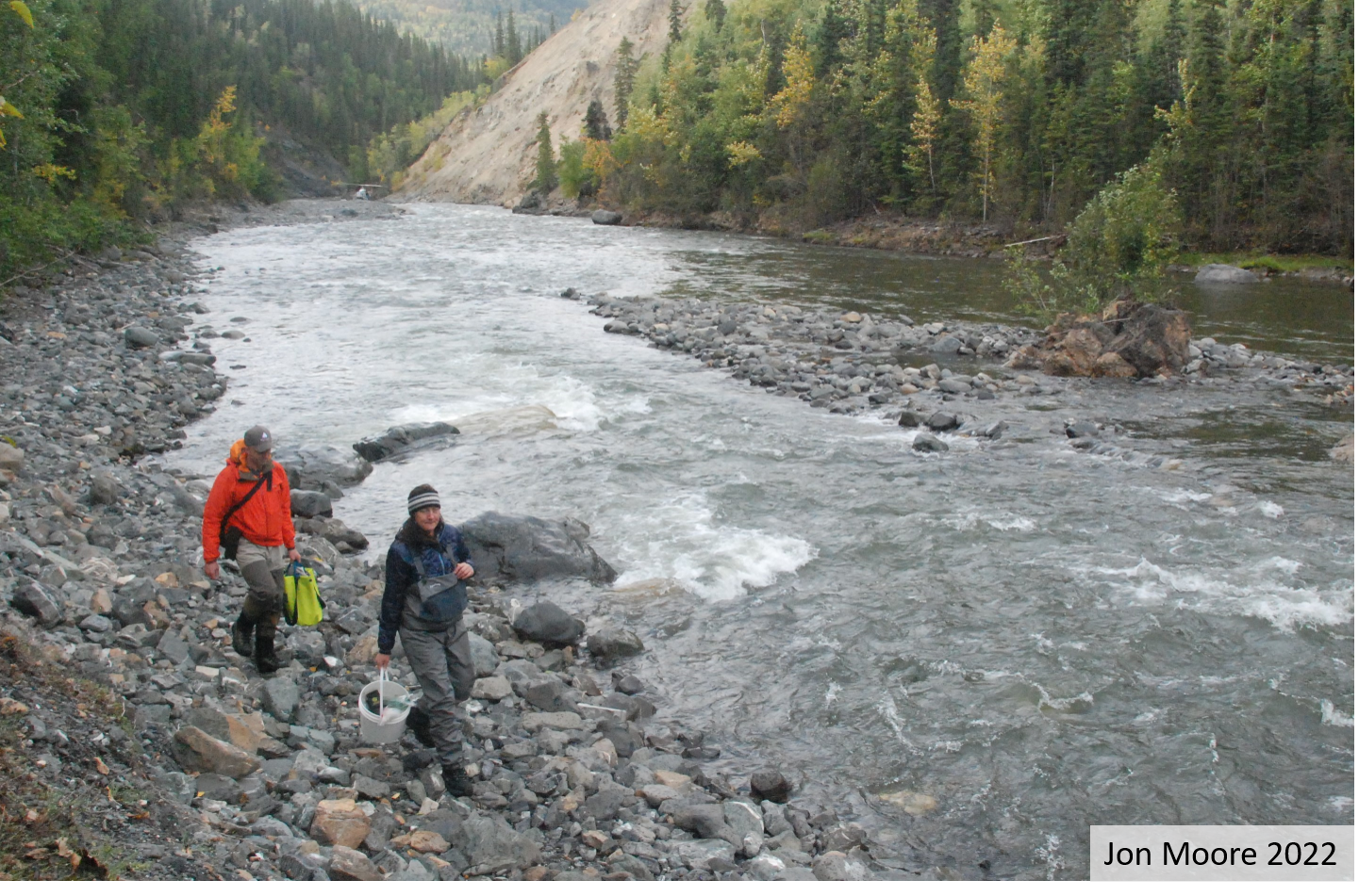 Taku River monitoring 2021