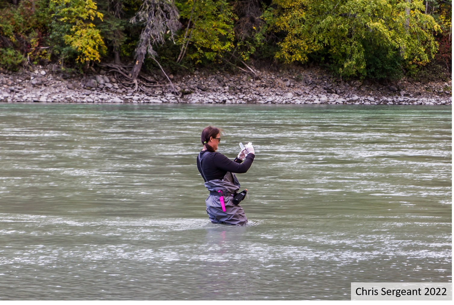 Taku River monitoring 2021