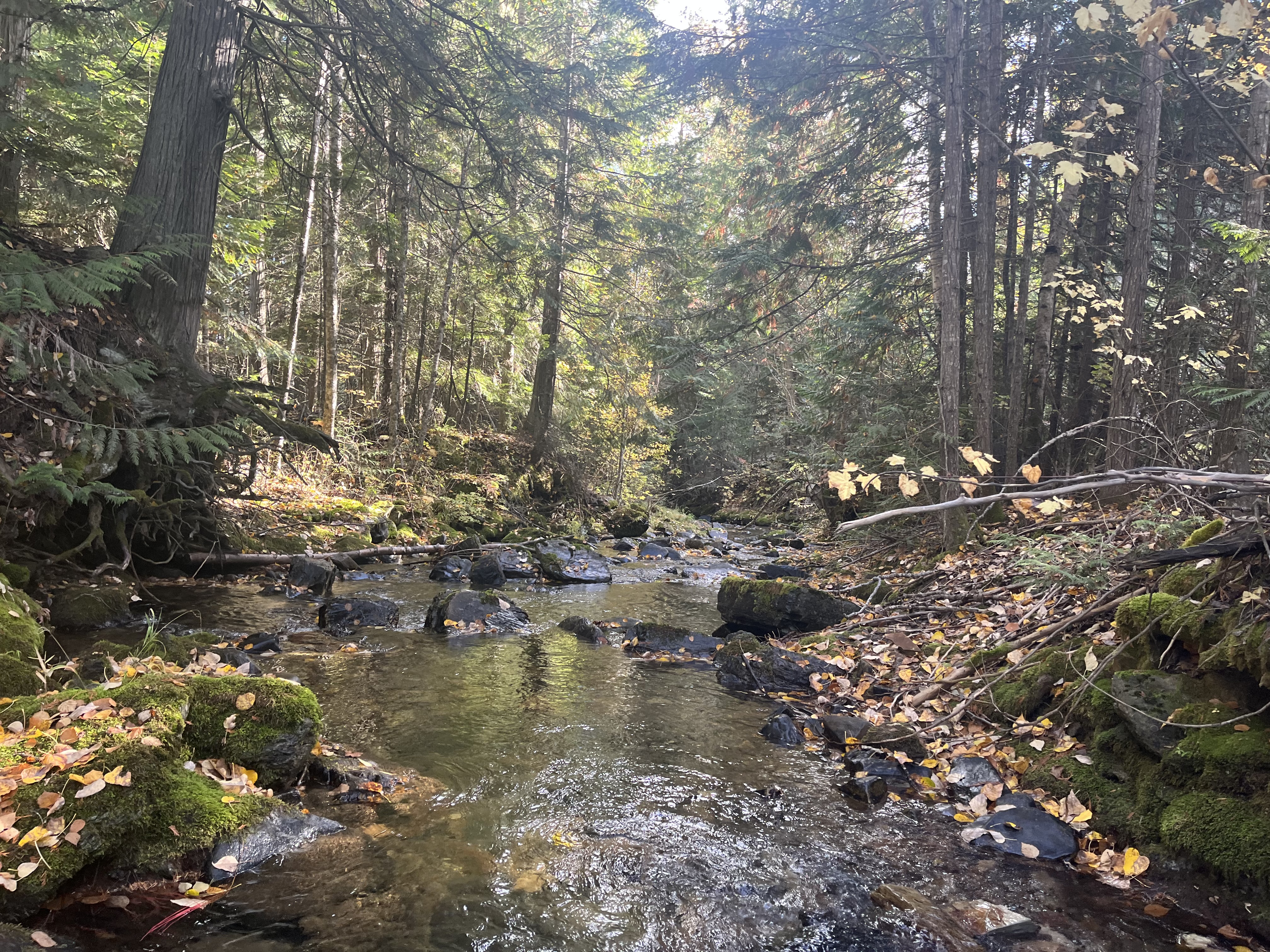 Another Successful Year of Sampling