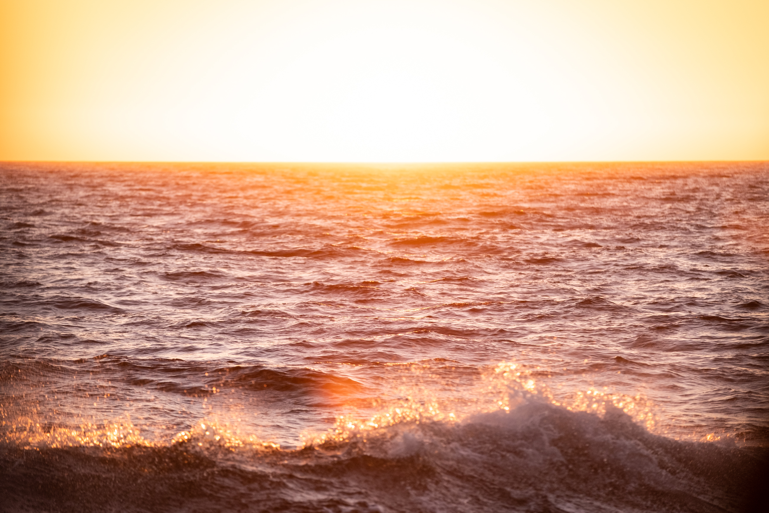 Ocean Systems in a Changing Climate