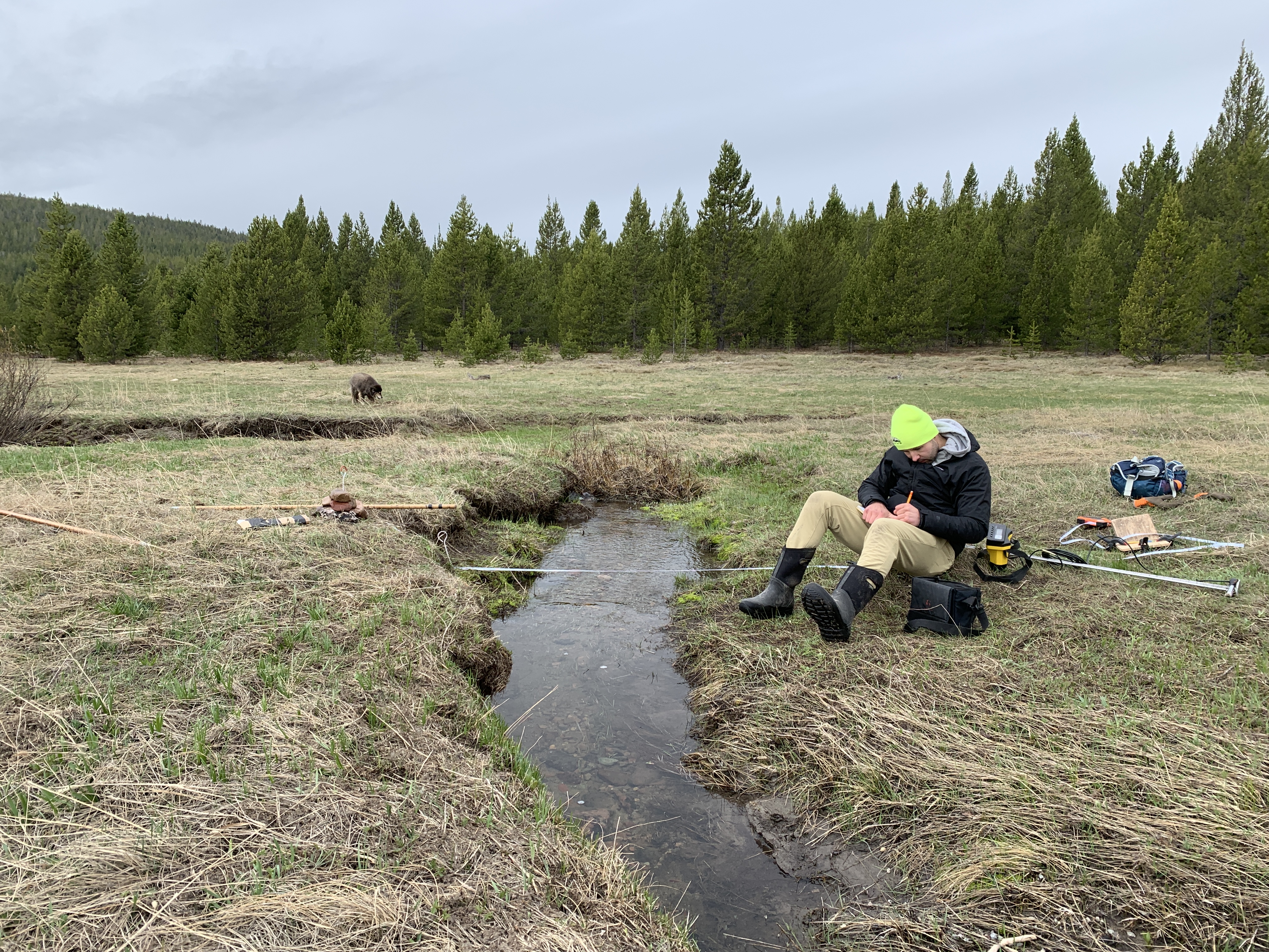 Data Analysis, Interpretation & Upload