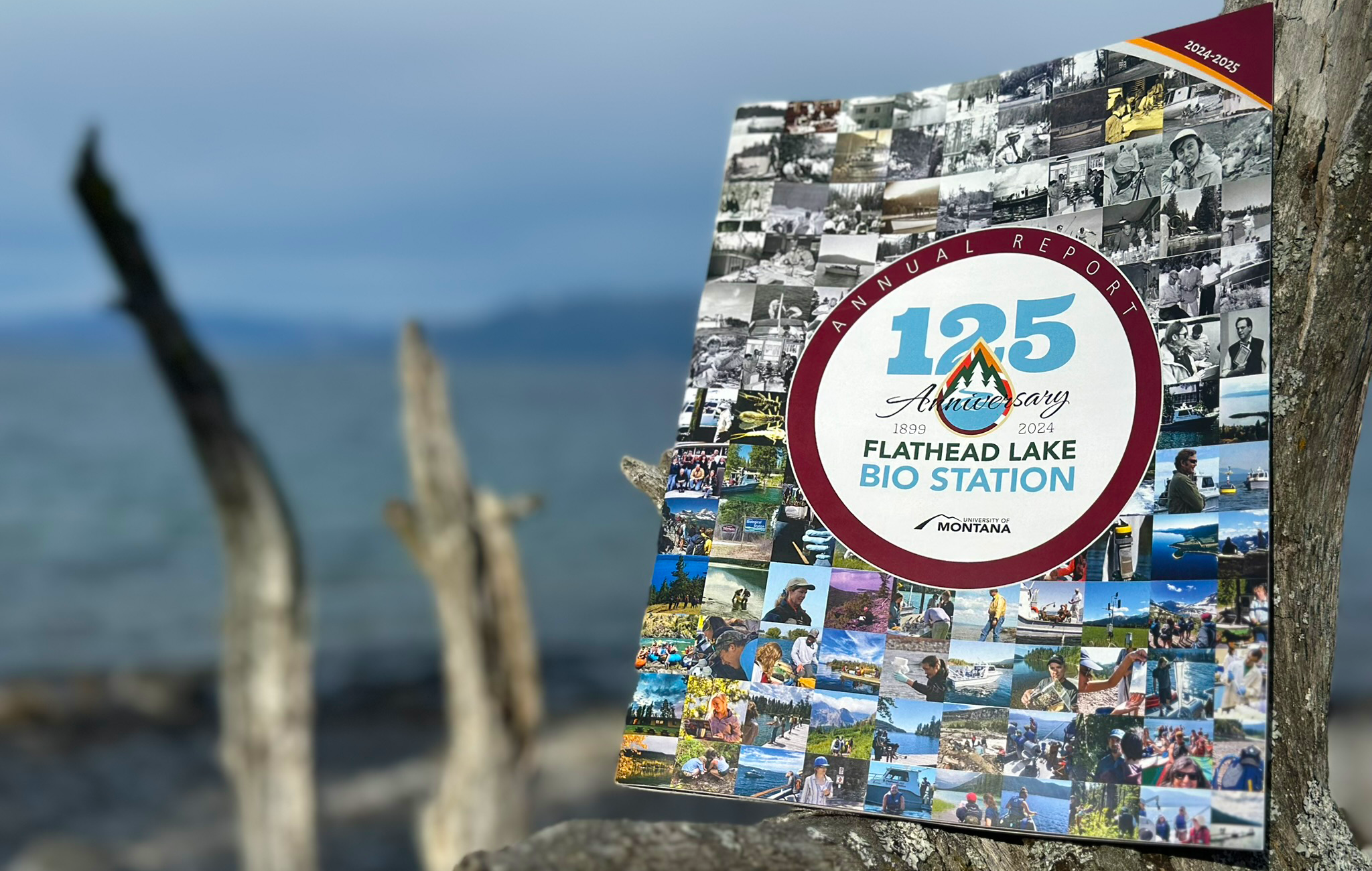 2024-25 FLBS Annual Report